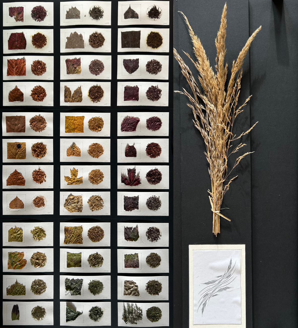 Reading brand ambition, a study of pigment and natural source material